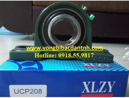 VÒNG BI-BẠC ĐẠN-XLZY